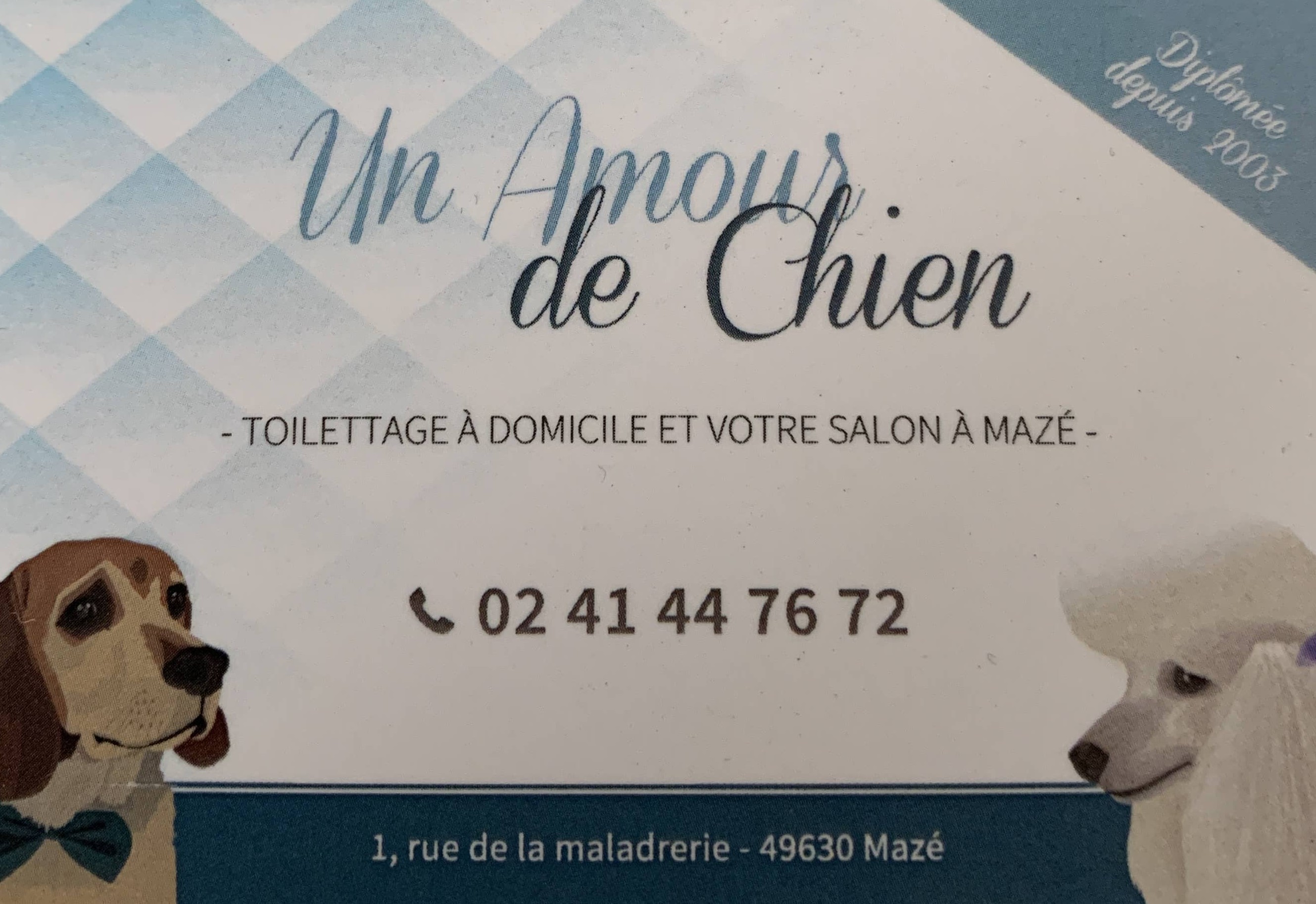 Logo de Un Amour de Chien