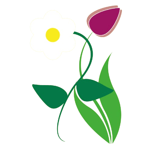 Annie Aubry Fleurs et Légumes