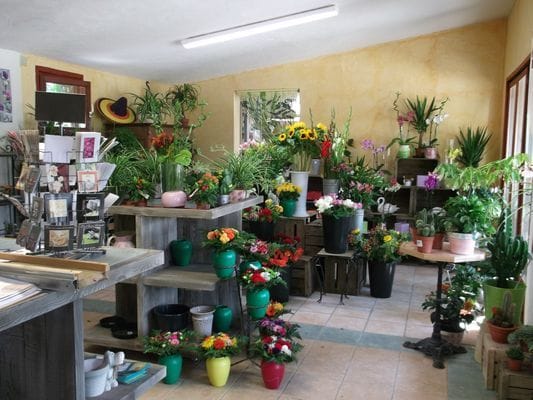 Magasin fleurs annie aubry Mazé Milon
